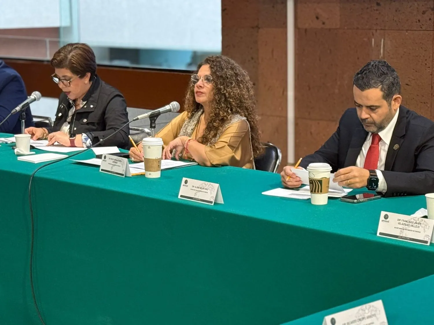 Rocío Abreu Artiñano preside la Comisión de Energía en la Cámara de Diputados.